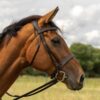 Clearance - Hunter Bridle - Italian leather - Image 2